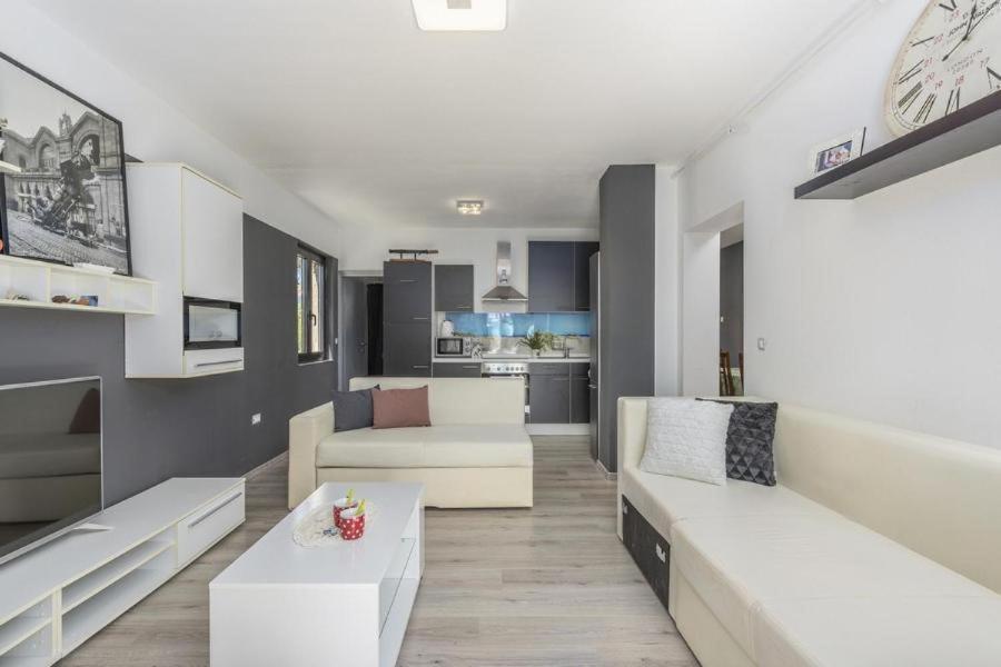 Apartment Zak Novigrad  Exterior photo